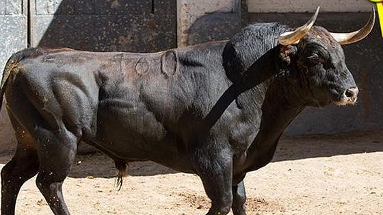 Sexto toro