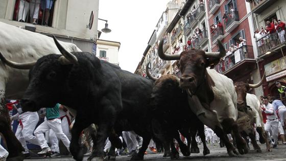 Toros de Fuente Ymbro por las calles de Pamplona