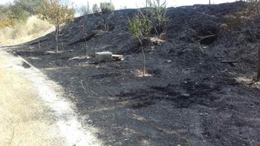 El Parque Manolito Gafotas, tras el incendio
