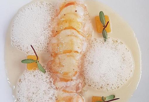 Cigala en salsa de vino blanco
