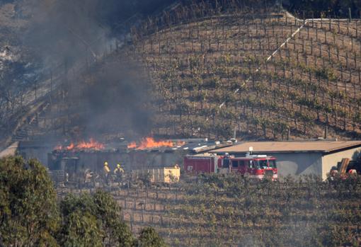 «Moraga Vineyards», de Rupert Murdoch, el pasado 6 de diciembre