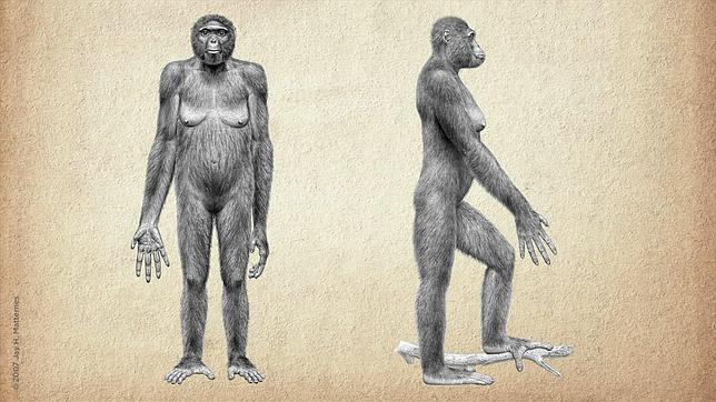Un grupo de científicos descubre que el virus del sida ya existía en la prehistoria