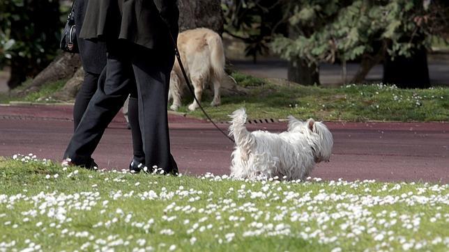 La primavera trae sol y máximas de 20º