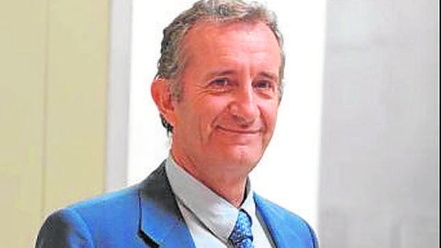 Ignacio Martín: «Sin parques nuevos, el orgullo por la eólica en España se irá muriendo»