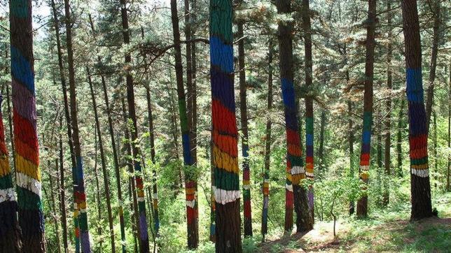 Bosque de Oma, obra del artista Agustín Ibarrola