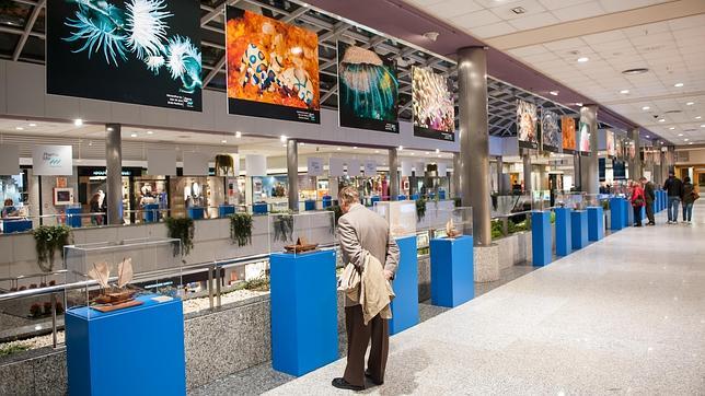 La exposición visitará otras ciudades próximamente