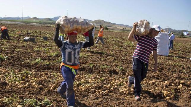 La economía sumergida en el campo alcanza hasta el 90% en algunas provincias