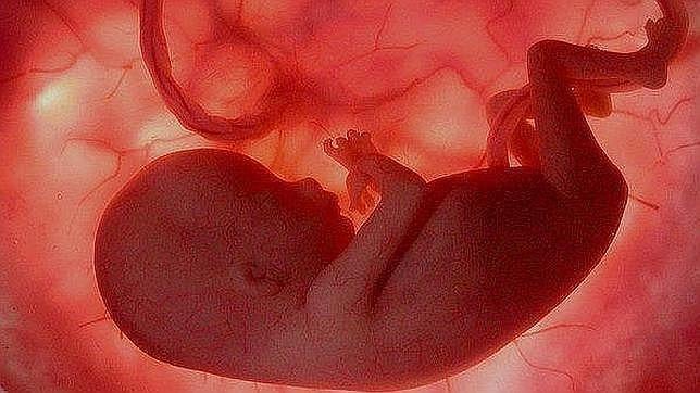 El Gobierno retoca el preámbulo de la ley del aborto para enfatizar el derecho a la vida