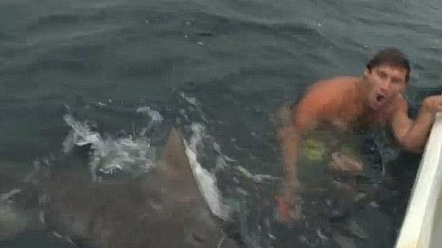 Vídeo: El terrorífico momento en el que un bañista sufre el ataque de un tiburón tigre