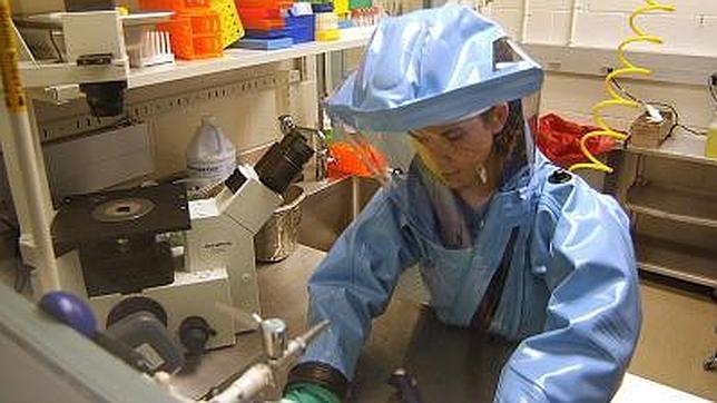 Varias vacunas y curas para el ébola se han investigado en animales y en laboratorios de nivel 4 de bioseguridad, la más elevada