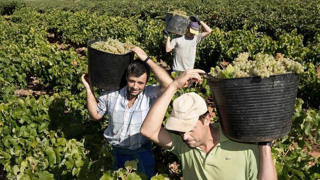 El salario de este año ronda los 9,53 euros por hora trabajada