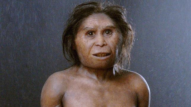 Reconstrucción de un ejemplar fenenino de los "hobbit" hallados en la isla de Flores