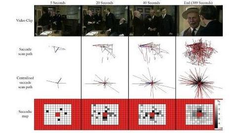Esquema de las reacciones oculares ante distintos clips