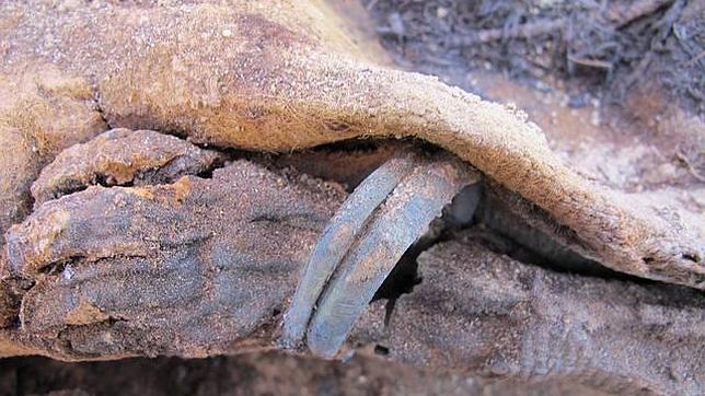 Ela necrópolis se han encontrado una momia de dos metros de altura y los restos de una niña de 18 meses