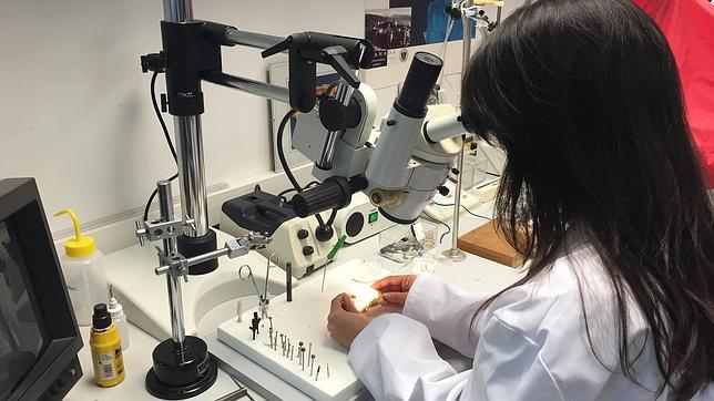 El desarrollo del transductor se ha realizado en la Universidad de Málaga