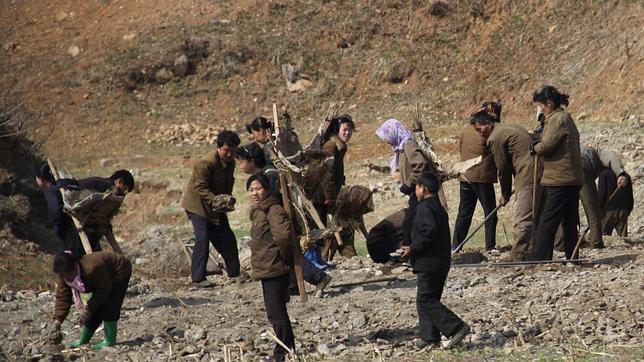 Una brigada ciudadana trabaja en la carretera de Pyongyang a Kaesong