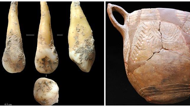 Imagen del diente del que se ha secuenciado el genoma de un agricultor neolítico e hace 7.400 años y restos de cerámica de la cultura cardial, caracterizado por las impresiones realizadas con conchas de bivalbos