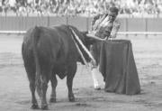 Juan Belmonte cita al natural al toro Fotos: ABC
