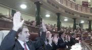 Los diputados de IU levantaron sus manos al grito de «esto es un atraco». JAVIER PRIETO