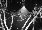 Una de las propuestas más insólitas vendrá de la mano de Circus Baobab. Será en el antiguo Matadero de Legazpi. ABC