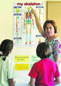 Juventud Comunidad De Madrid