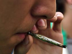 Expertos vinculan el fracaso escolar en España al alto consumo de cannabis