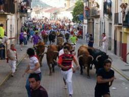 Encierros, una pasión de alto riesgo