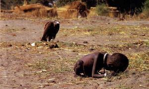 El «buitre» de Kevin Carter, a escena
