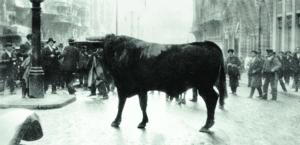 El toro que sembró el pánico
