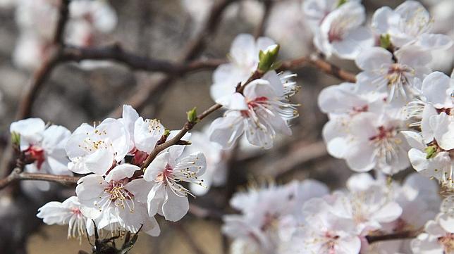 Diez destinos para estrenar la primavera