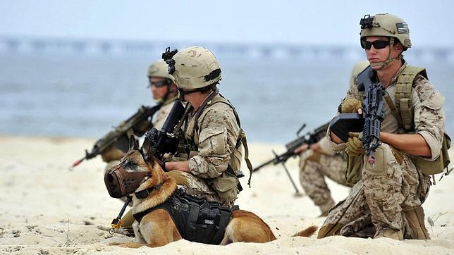 Radiografía de los Navy Seals, los verdugos de Bin Laden