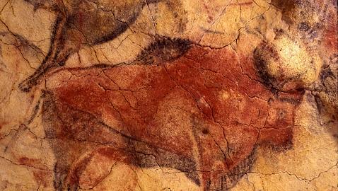 Las Pinturas Del Arte Rupestre Reflejan Con Realismo Las Especies Del Paleolitico