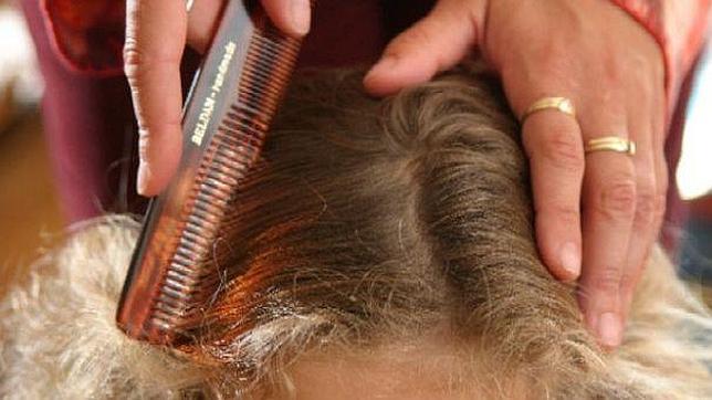 como prevenir los piojos en bebes como prevenir los piojos en bebes