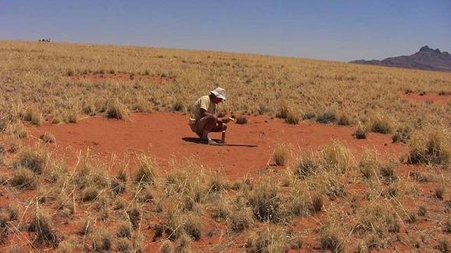 El misterio de los «círculos» de Namibia