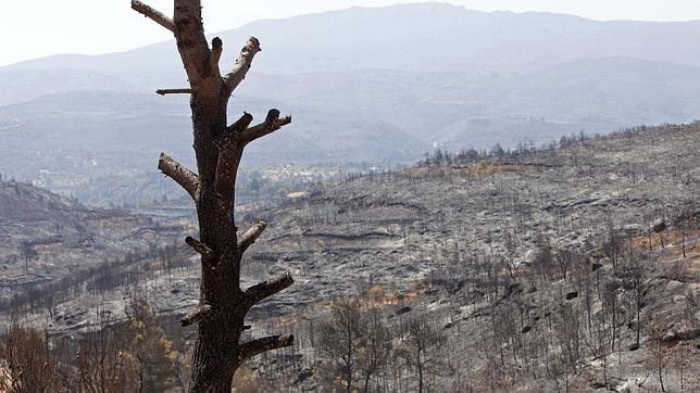 El incendio de Andilla, sin llama