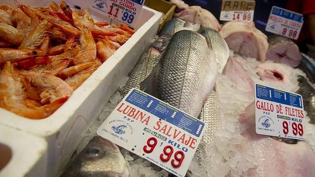 De granja, salvaje o ecológico, ¿qué pescado comemos?