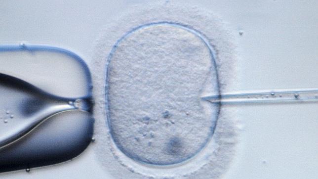 Los niños nacidos tras un tratamiento de fertilidad son más propensos a sufrir asma