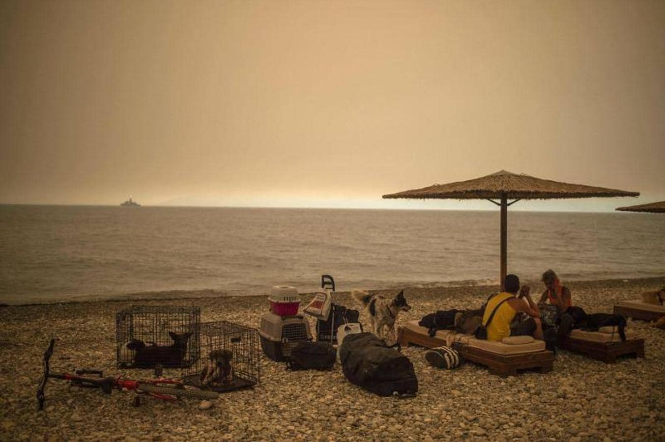 Personas con sus mascotas y algunas pertenencias se sientan en la playa para evitar que les alcance el fuego 
