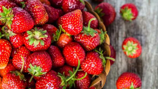 Fresas y frutos rojos o del bosque