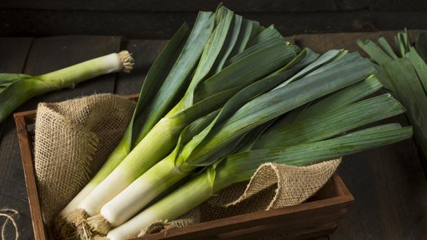 Puerro Descubre Todas Las Propiedades Y Beneficios De Puerro Y Otros Muchos Alimentos En ABC 