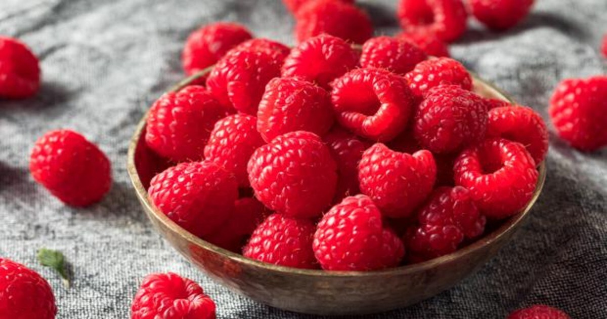 Frambuesas: los beneficios del fruto antioxidante que es un tesoro en los  postres