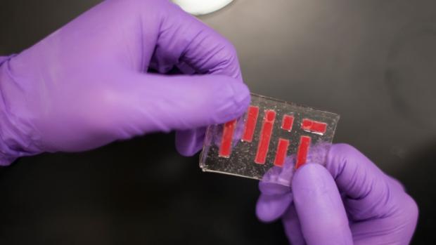 El nuevo material es elástico como la gelatino y no se seca