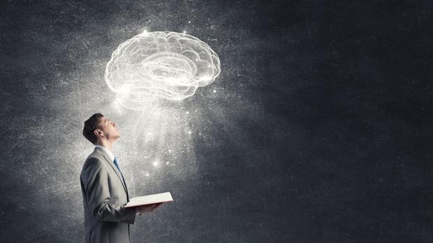 El cerebro humano es sorprendentemente flexible y la lectura puede modificarlo