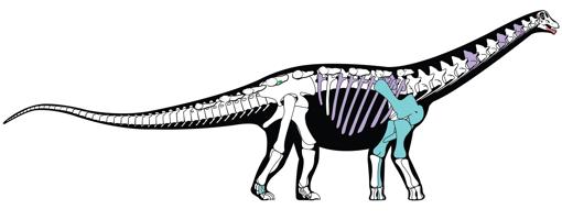 Reconstrucción del dinosaurio hallado en Egitpo