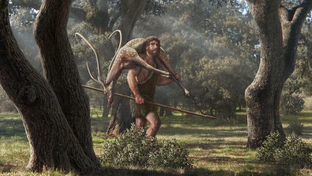 Los neandertales cazaban en zonas boscosas, para lo que empleaban estrategias complejas
