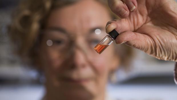 Una investigadora sostiene un vial con los pigmentos intactos más antiguos del mundo