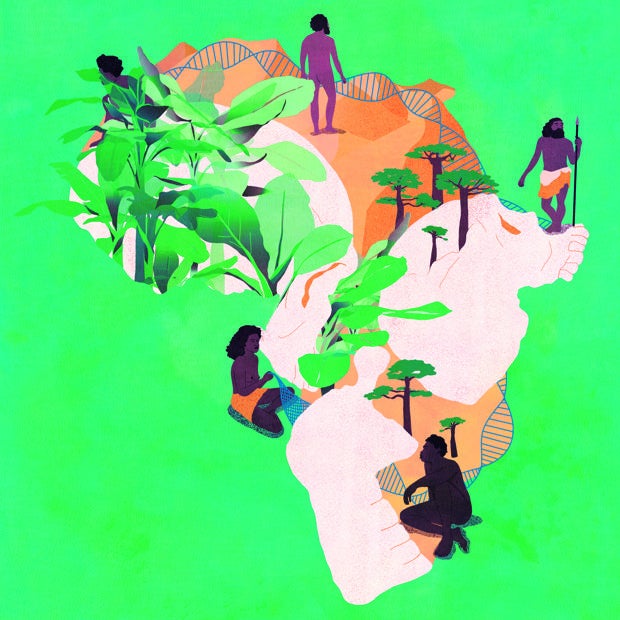 El mosaico de fósiles, artefactos y ambientes en toda África indica que nuestra especie surgió de las interacciones entre un conjunto de poblaciones cuya conectividad cambió a través del tiempo