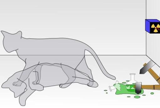 El gato está vivo y muerto a la vez hasta que alguien lo observa