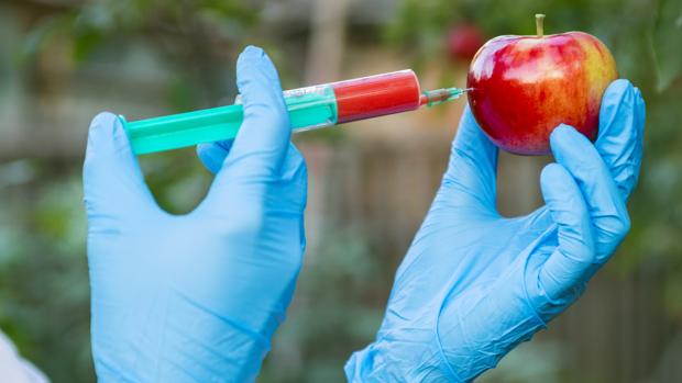 Desde los productos modificados hasta los avances de la ciencia, la sociedad tiene creencias equivocadas sobre el trabajo de los químicos
