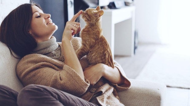 La tozoplasmosis se contagia a través de las heces de gato